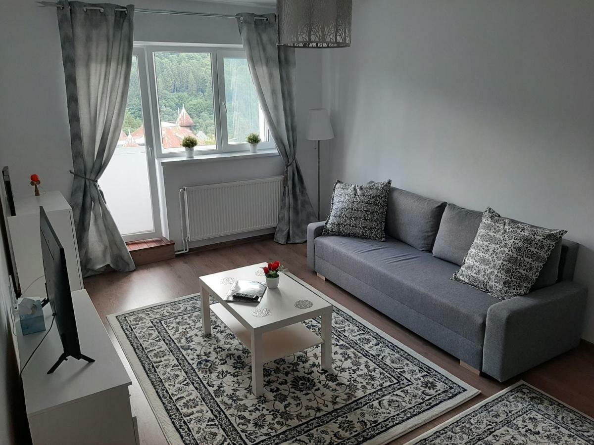 Lidia'S Apartment Sinaia Bagian luar foto