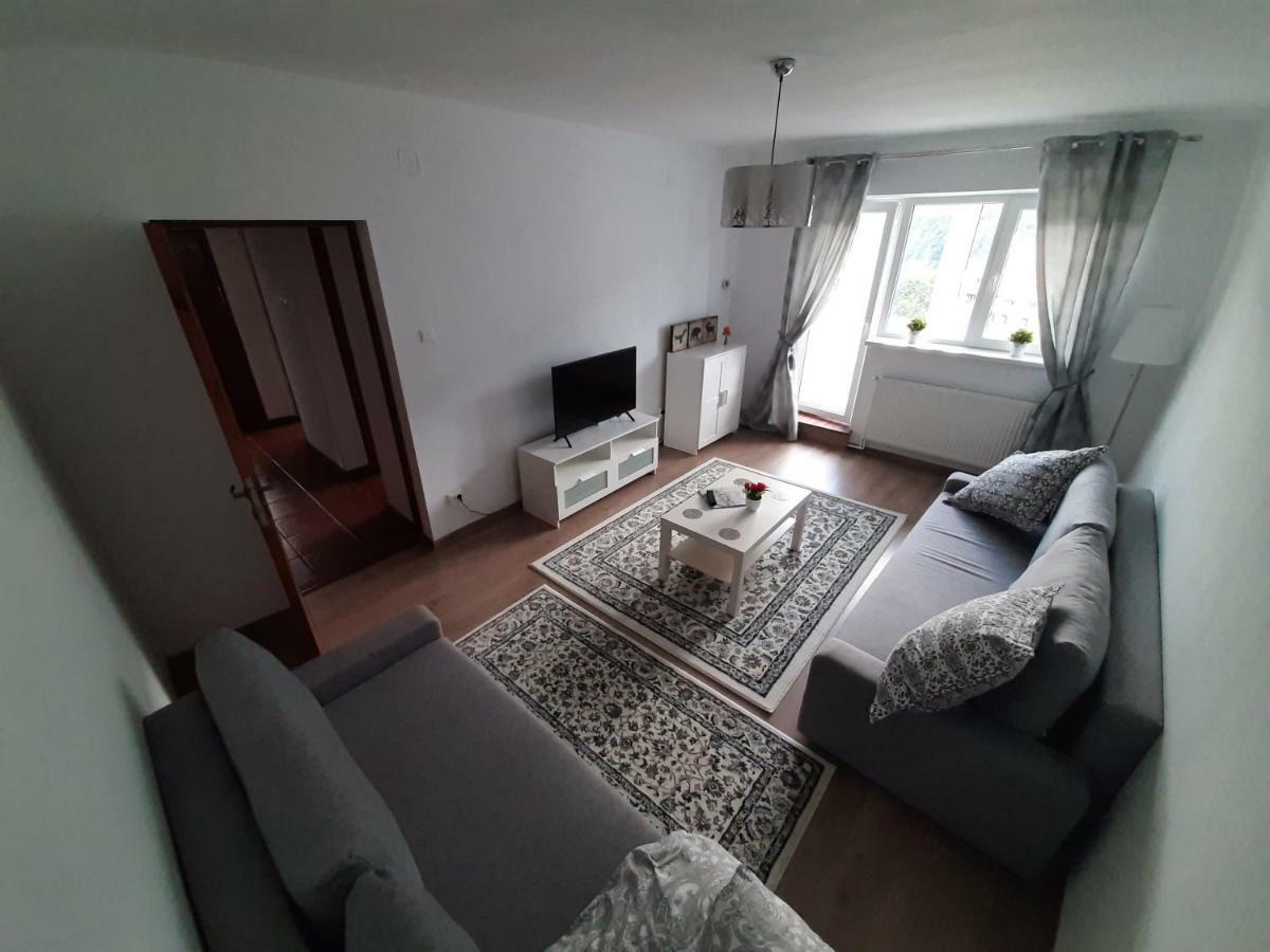 Lidia'S Apartment Sinaia Bagian luar foto
